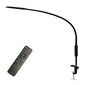 LED Desk Lamp with Remote Control